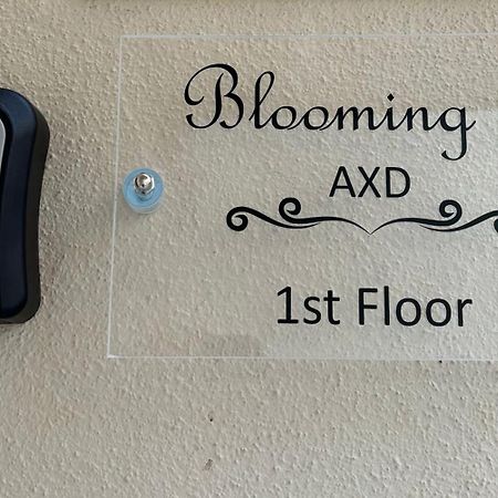 Blooming 31 Axd Daire Dedeağaç Dış mekan fotoğraf